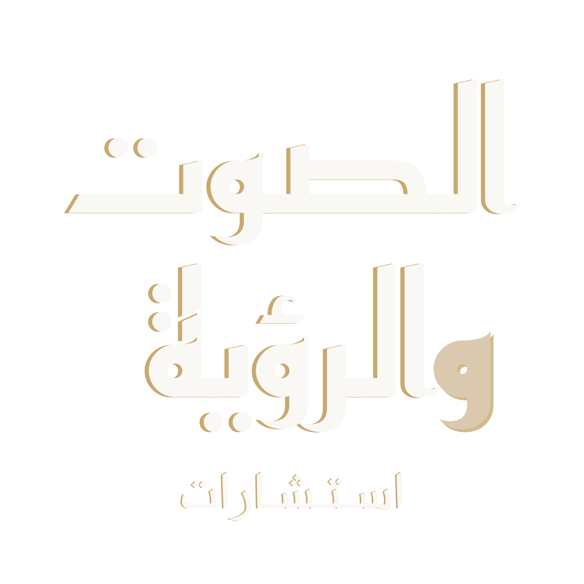 الصوت والرؤية للاستشارات
