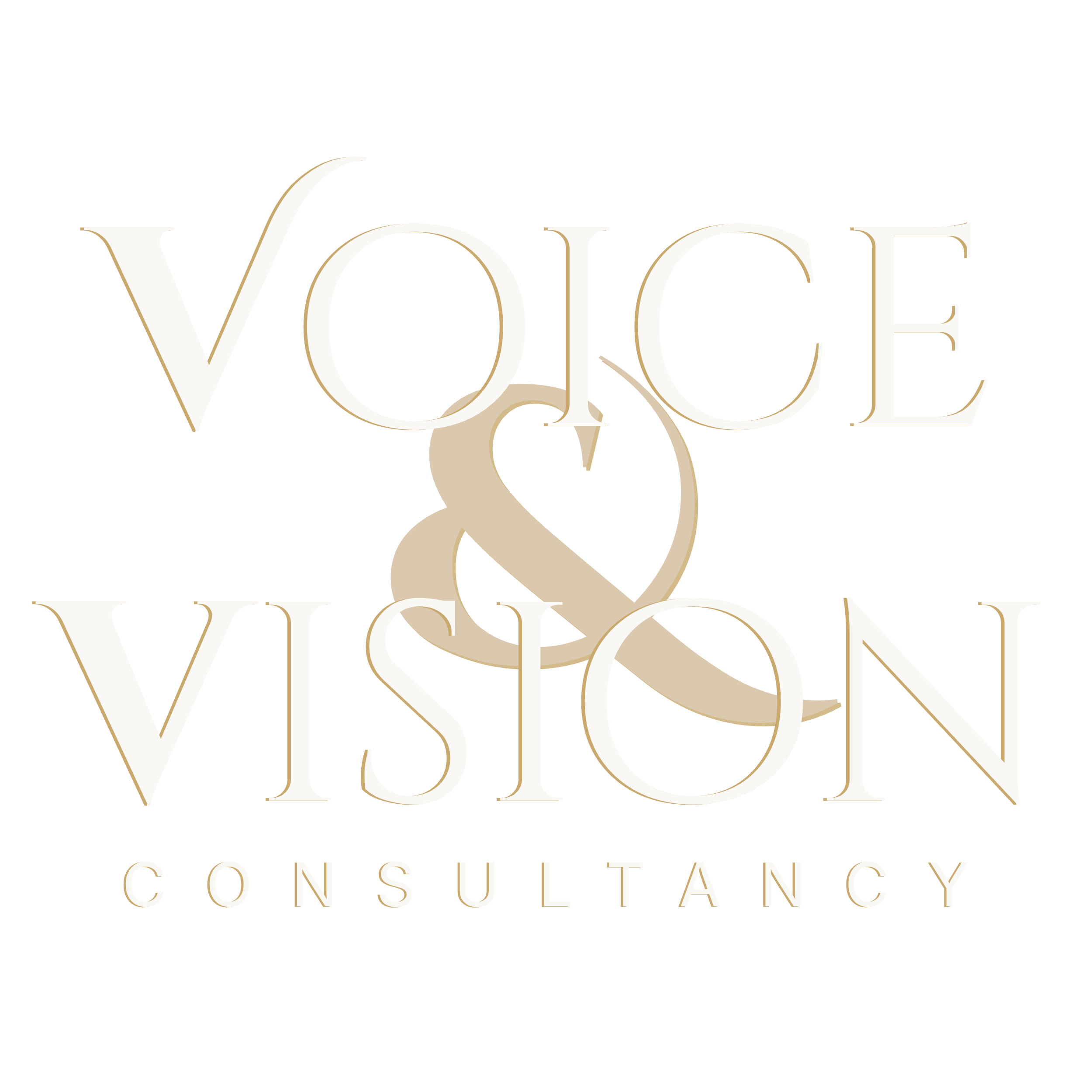 Voice & Vision Consultancy